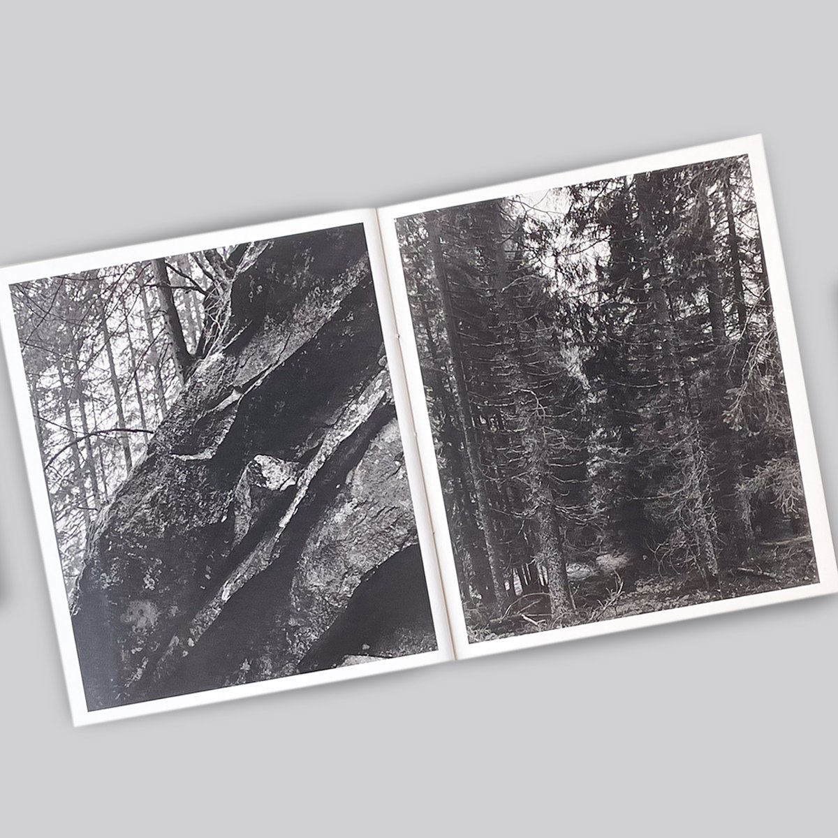Awoiska Van Der Molen / The Living Mountain | POST