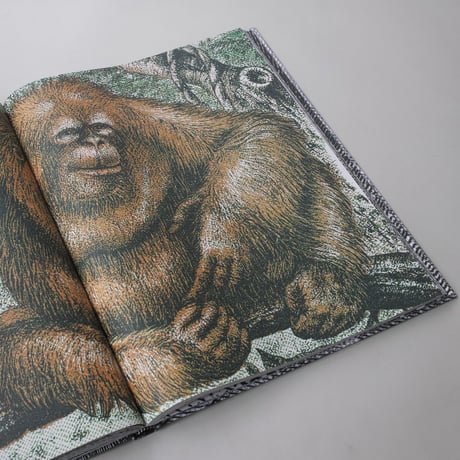Prill Vieceli Cremers / Money