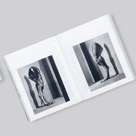 Joan Fontcuberta / Contravisiones