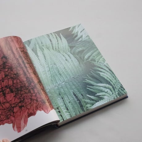 Christine Birkle / How I Felt