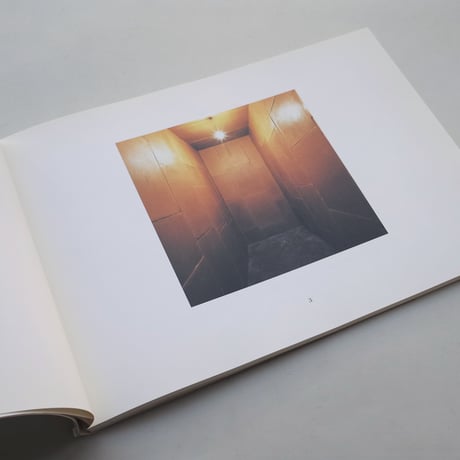 Wolfgang Laib / Wolfgang Laib