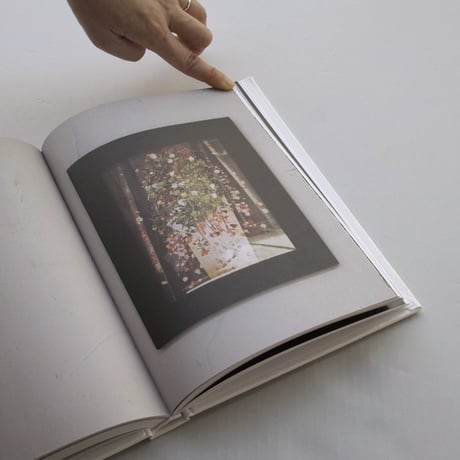 Sophie Calle / Rachel, Monique...