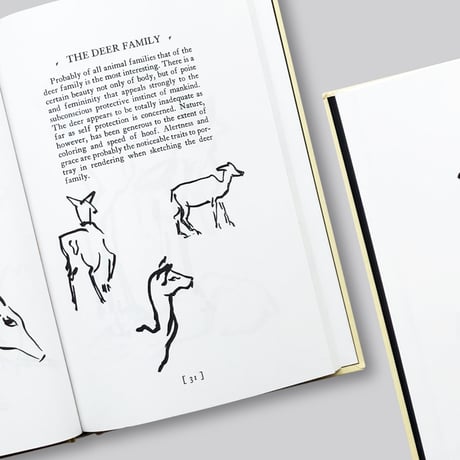 Alexander Calder / Animal Sketching