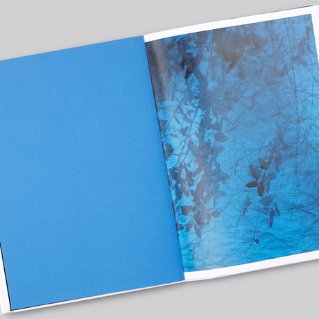 Charlott Markus / Some Things Bleak