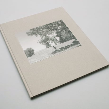 Robert Adams / Perfect Palces, Perfect Company