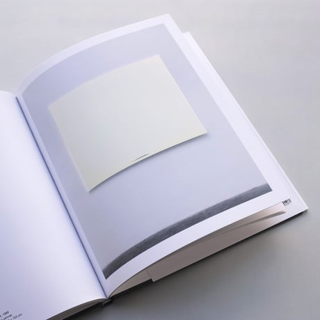 Anne Truitt / Paintings