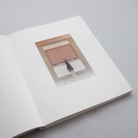 Luigi Ghirri / COLAZIONE SULL'ERBA