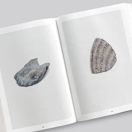 Nina Canell / Shell Reader