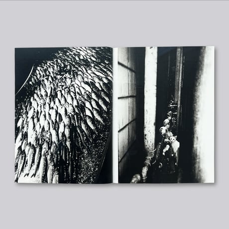 【Signed】Avo Tavitian, Daido Moriyama / LOS ANGELES X SHINJUKU