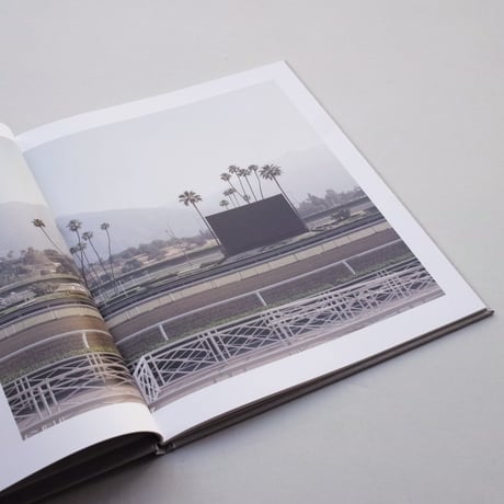 Marie-José Jongerius / Los Angeles Palms