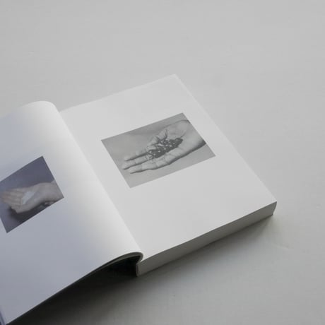 Ruth Van Beek / How To Do The Flowers