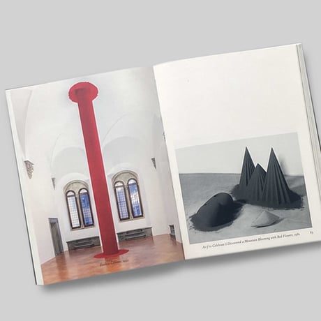 Anish Kapoor / Untrue Unreal