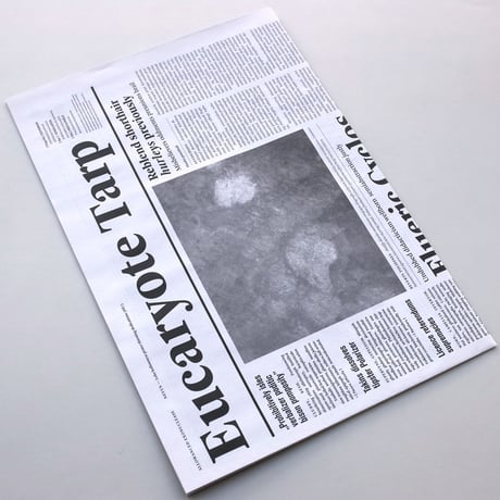 Mark Manders / Table with Notional Newspapers