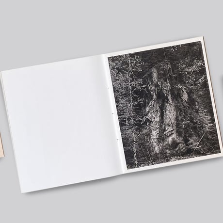 Awoiska Van Der Molen / The Living Mountain