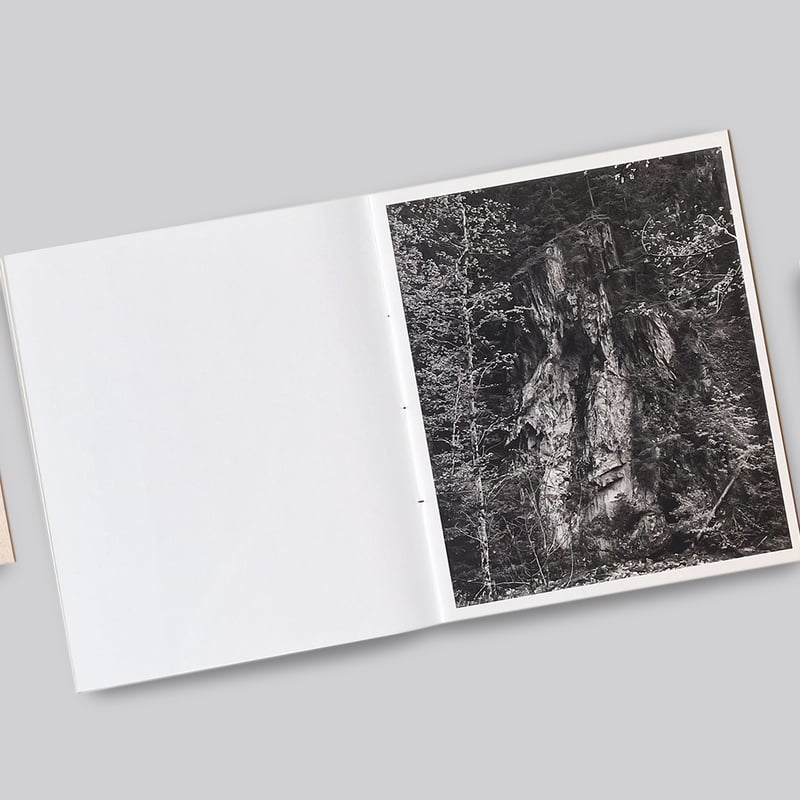 Awoiska Van Der Molen アヴォイスカ・ヴァン・デル・モレン Awoiska Van Der Molen / The Living Mountain | POST