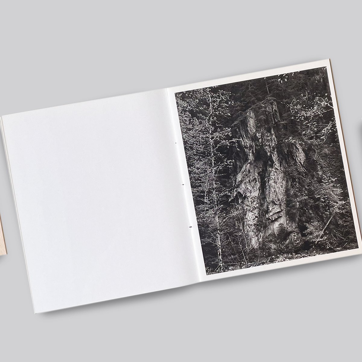 Awoiska Van Der Molen / The Living Mountain | POST