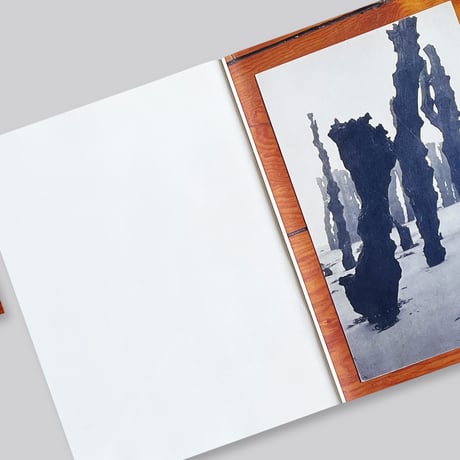 Mark Manders, Roger Willems / The Images of Luis Barragán
