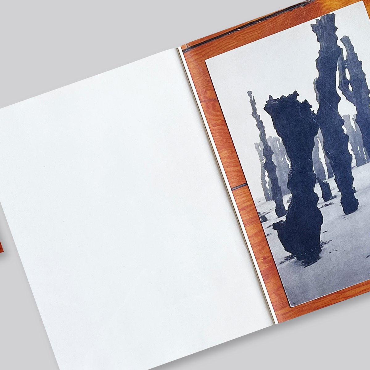 Mark Manders, Roger Willems / The Images of Lui