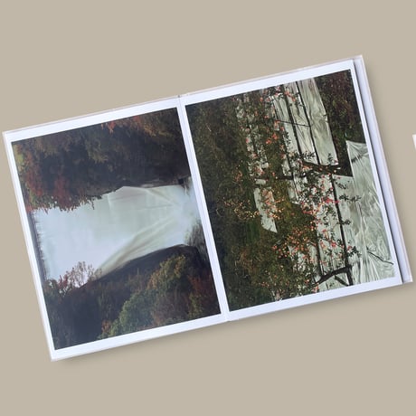 【CC】Toshio Shibata / PAINTING