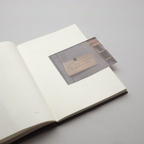 Sophie Calle / Because