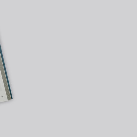 Stephen Shore / MODERN INSTANCES: THE CRAFT OF PHOTOGRAPHY [EXPANDED EDITION]