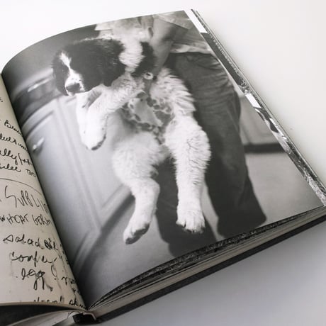 Bruce Weber / Gentle Giants