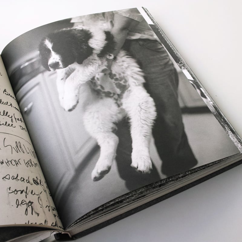 Bruce Weber / Gentle Giants | POST Bruce Weber / Gentle Giants | POST