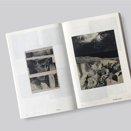 Arjan de Nooy / Photology