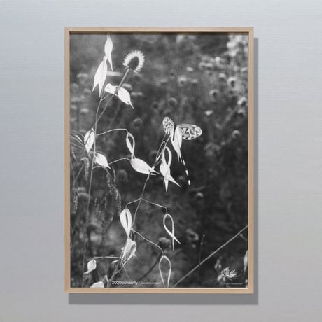 Wood Poster Frame （2020Solidarity by Between Bridges Poster）