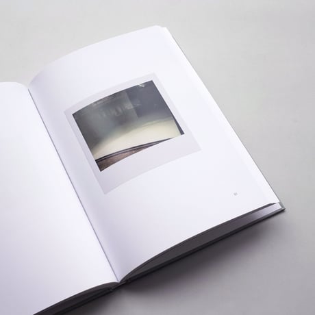 Luc Tuymans / Ende