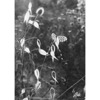 Richard Serra / Nine Poster | POST