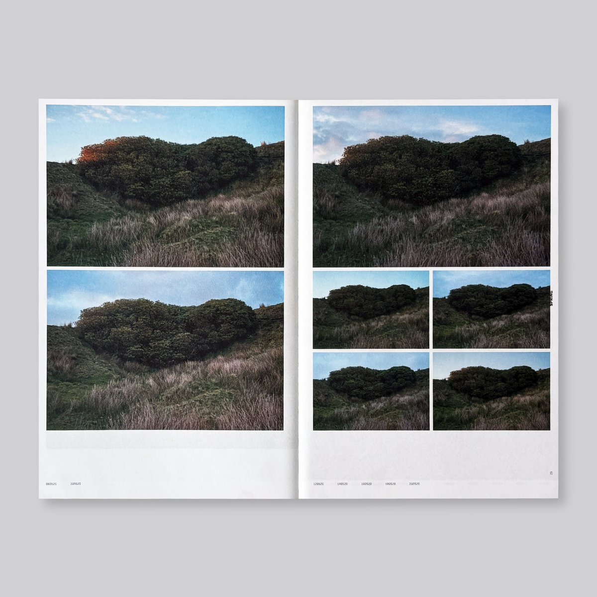 Yan Wang Preston / With love | POST