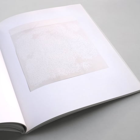 Robert Ryman / versions