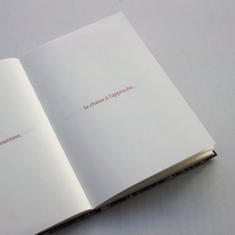 Sophie Calle / Les Fanfares de circonstance