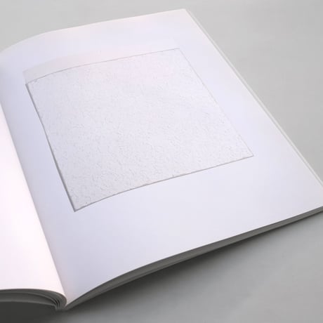 Robert Ryman / versions