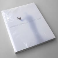 Antony Gormley / Blind Light