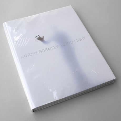 Antony Gormley / Blind Light