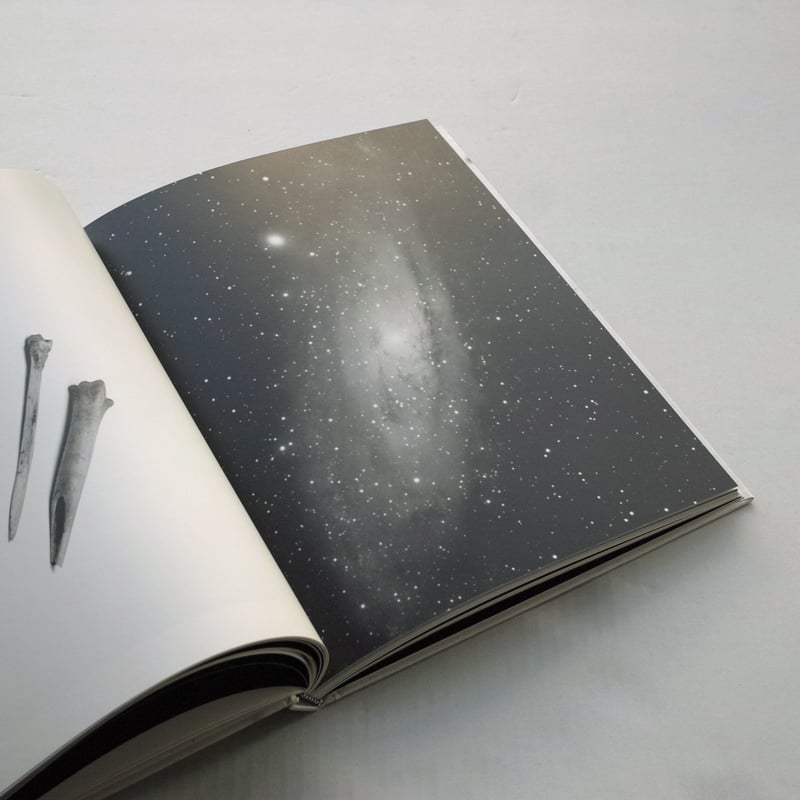 Aleix Plademunt / ALMOST THERE | POST