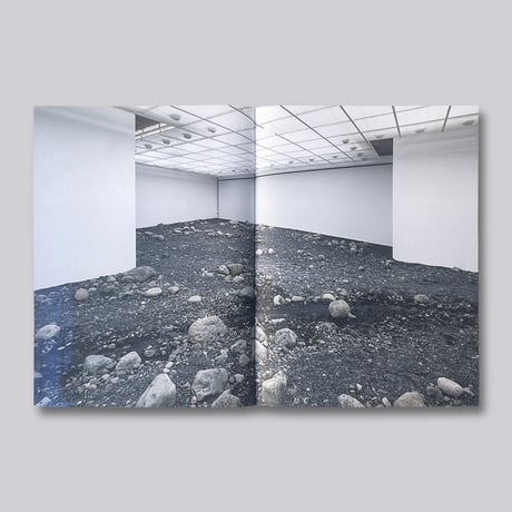 Riverbed: Olafur Eliasson at Louisiana