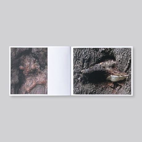 Adam Thorman / Creatures Found