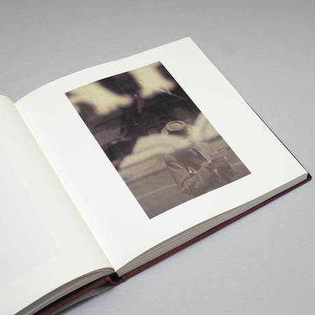 【Last Copies】Saul Leiter / Early Color（フランス語版）