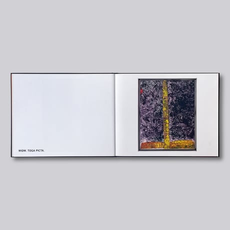 Sterling Ruby / Widw