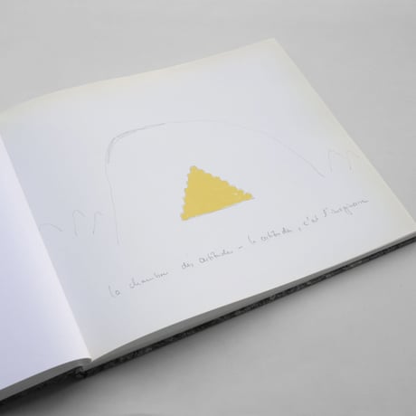 Wolfgang Laib / The Room of Certitudes