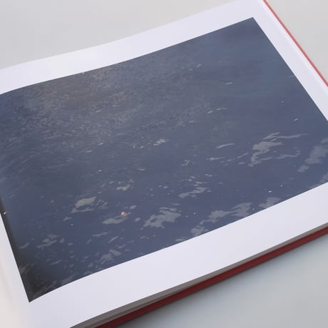 Roni Horn / Dictionary of Water
