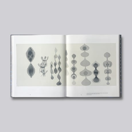Ruth Asawa / Through Line