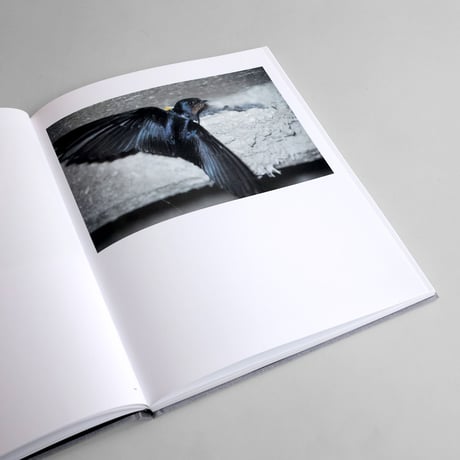 Rinko Kawauchi / Des Oiseaux