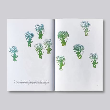 Bruno Munari / Roses in the Salad