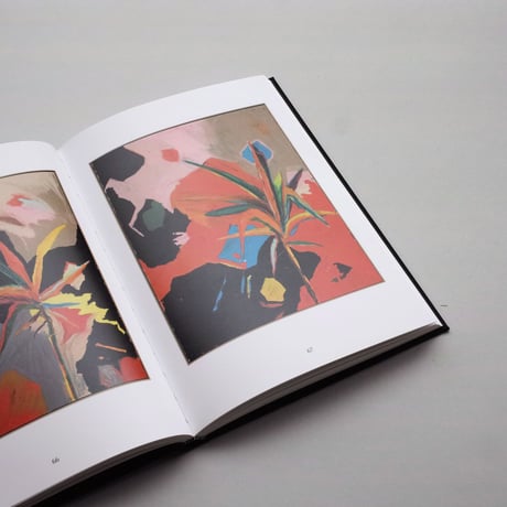 Harold Ancart / Soft Places (II)