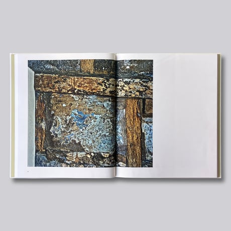 Robert Polidori / Topographical Histories
