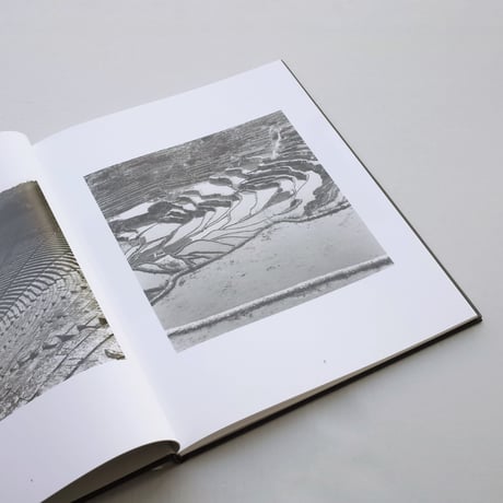 Klaus Merkel / The Reading of Time in the Text of Nature